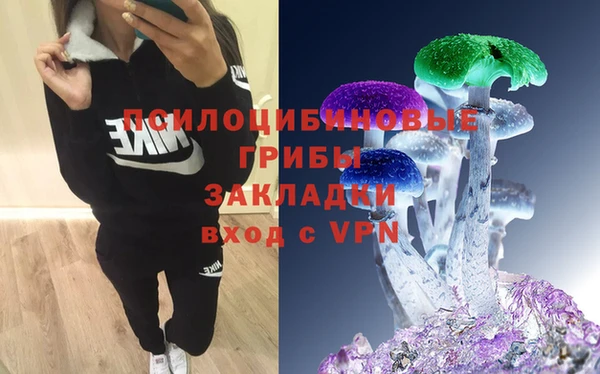 круглые Арсеньев
